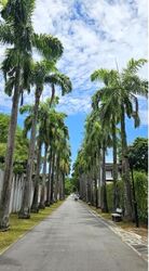 Goodman Road (D15), Detached #546072841